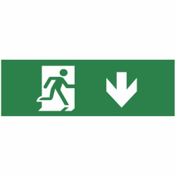 Autocolant Lampa Exit Sageata jos 30 Led - SPN7901X