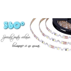 Banda LED 12V 4.8W/m, 60LED/m IP20 R2835 6500K, Forma S - rola 5m