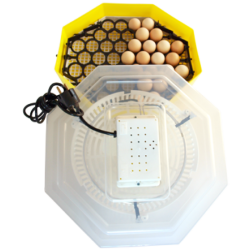 Incubator Cleo Cu Dispozitiv de intoarcere a oualelor