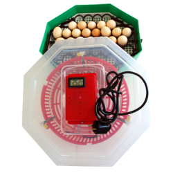 Incubator Cleo cu termometru si dispozitiv de intoarcere a oualor. Capacitate 41 de oua de gaina