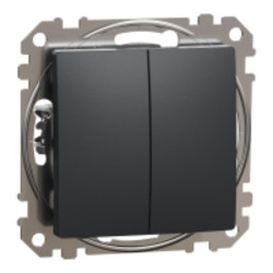 Intrerupator dublu gri antracit Sedna Design Schneider SDD114105